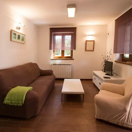Apartment Sincic Novigrad  Exterior photo