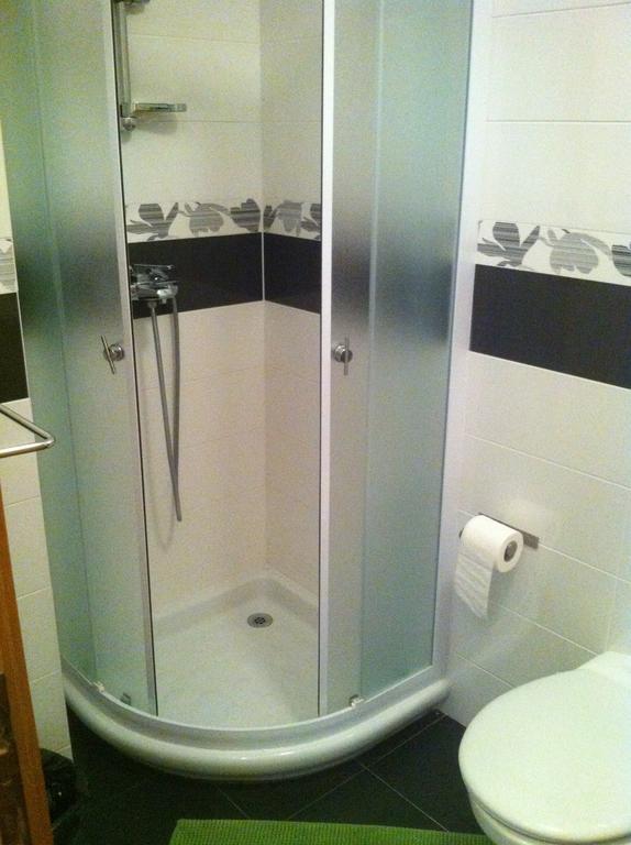 Apartament Sincic *