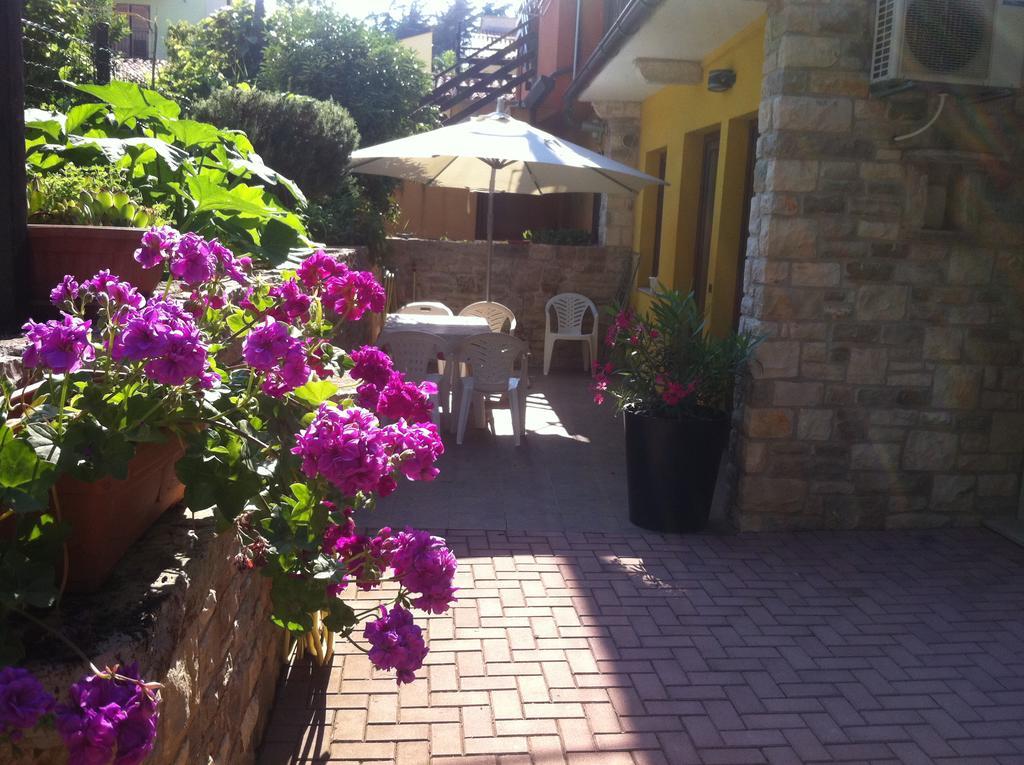 Apartment Sincic Novigrad (Istria)