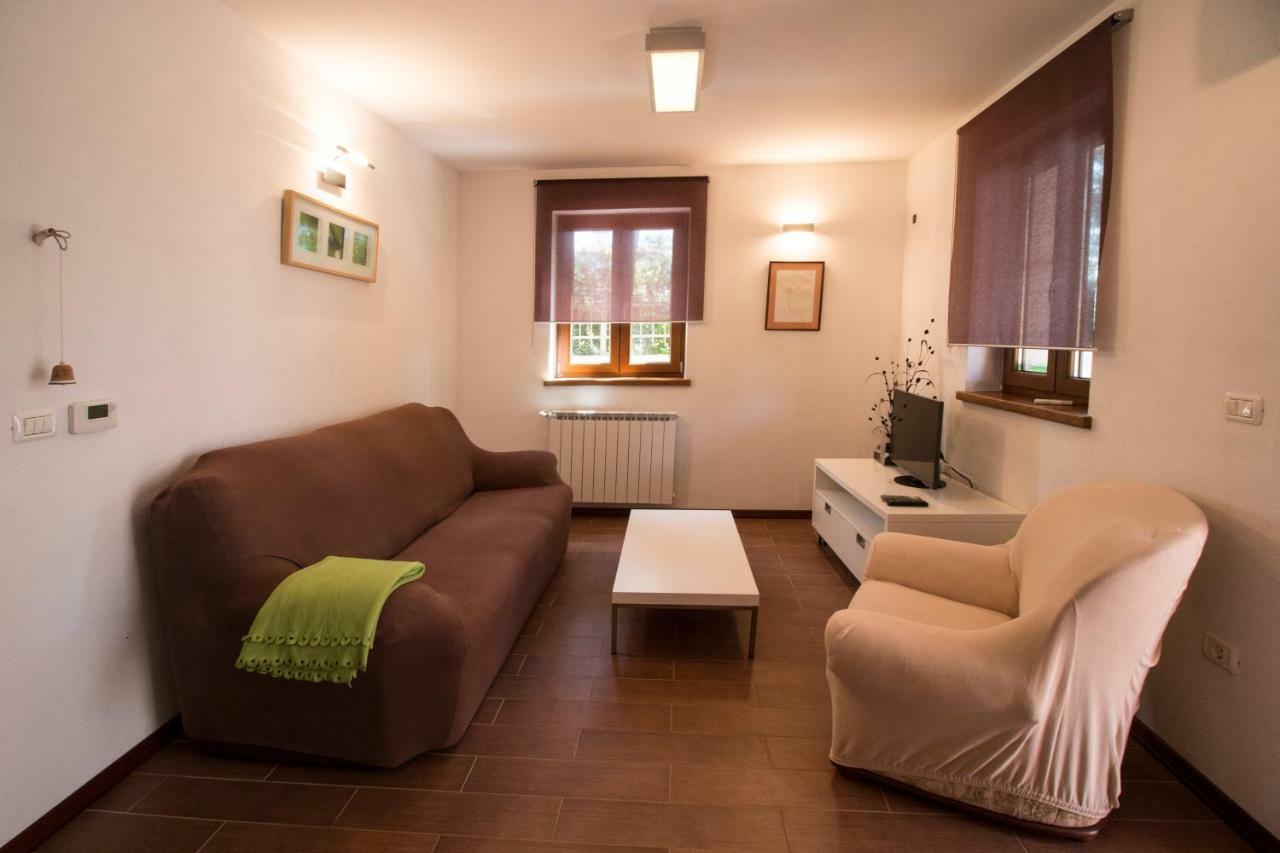 Apartment Sincic *