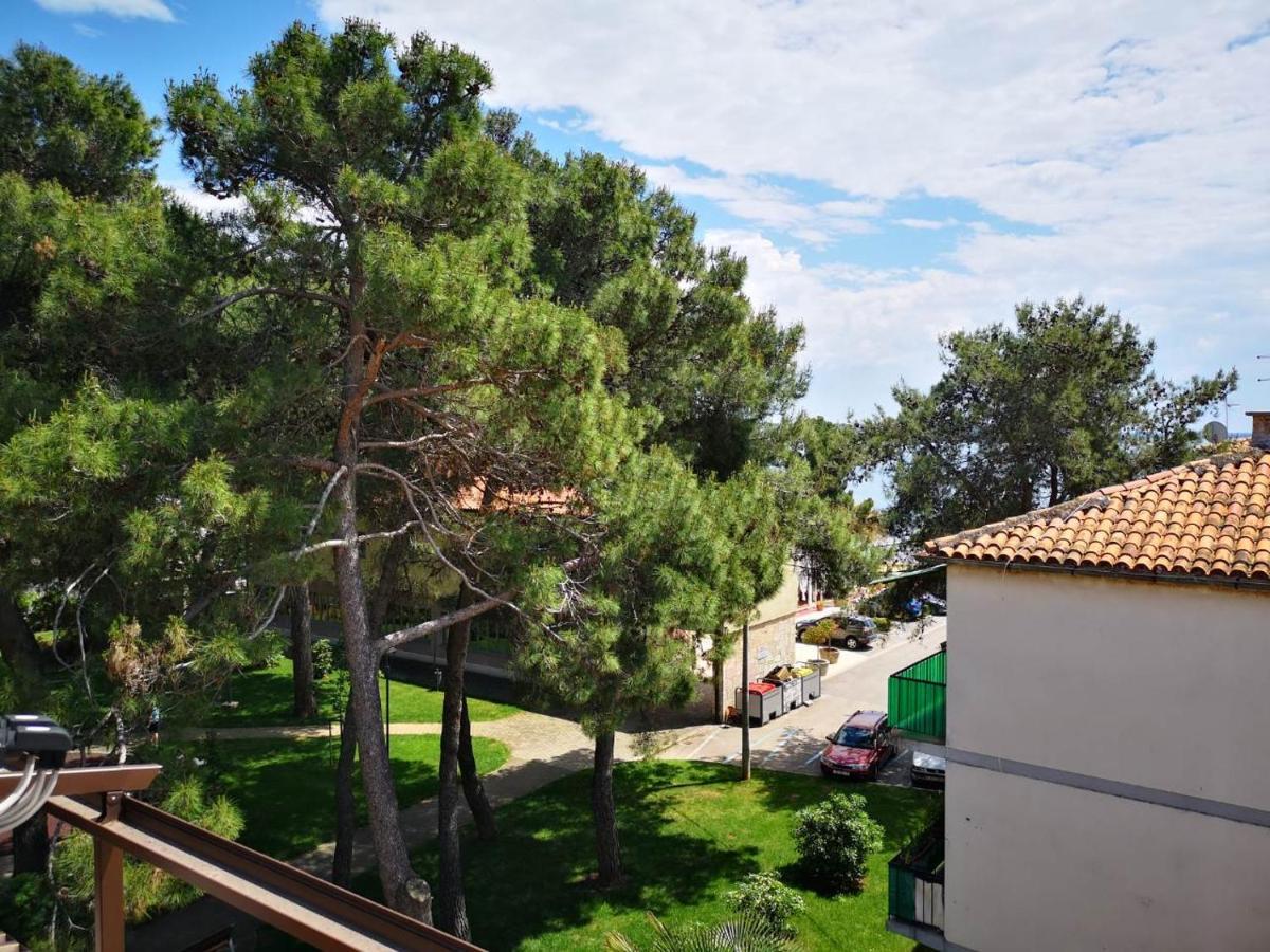 Apartment Sincic